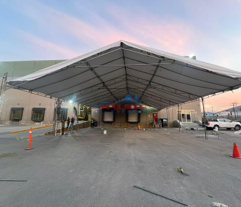 WhatsApp-Image-2025-01-14-at-10.47.53-AM-2