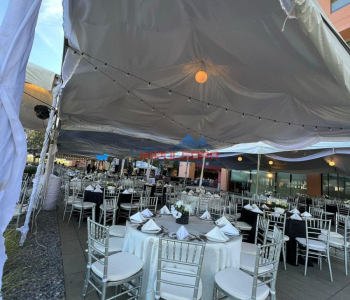 WhatsApp-Image-2025-01-14-at-10.47.56-AM-3-2