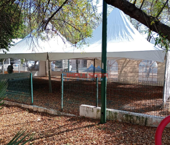 WhatsApp-Image-2025-01-13-at-2.51.20-PM-1