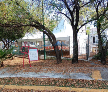 WhatsApp-Image-2025-01-13-at-2.51.20-PM-2