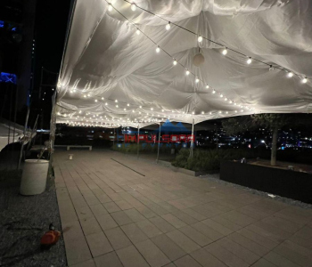 WhatsApp-Image-2025-01-14-at-10.47.56-AM-1