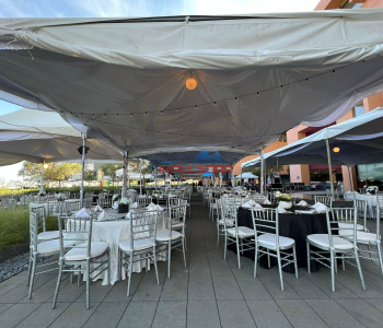 WhatsApp-Image-2025-01-14-at-10.47.56-AM