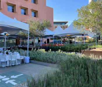 WhatsApp-Image-2025-01-14-at-10.47.58-AM