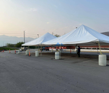 WhatsApp-Image-2025-01-14-at-10.49.50-AM-2