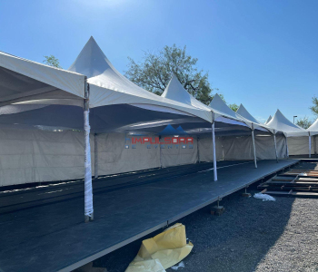 WhatsApp-Image-2025-01-14-at-10.51.08-AM-2